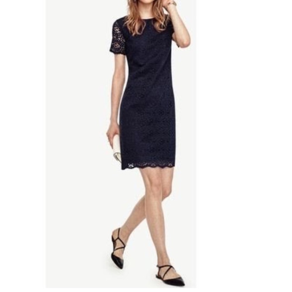 Ann Taylor Mosaic lace shift dress. EUC!!